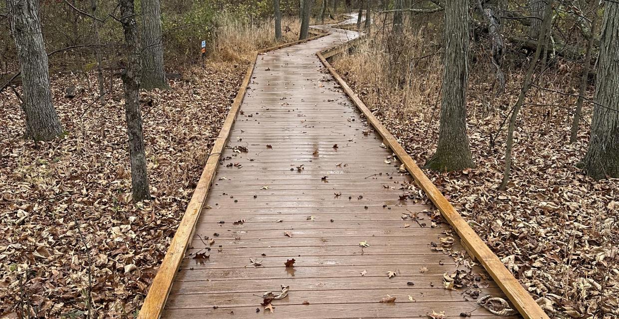Boardwalk at the Watershed Institute - Photo by Matthew Fecica