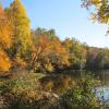 Fall colors along Vernay Lake Photo: Jane Daniels